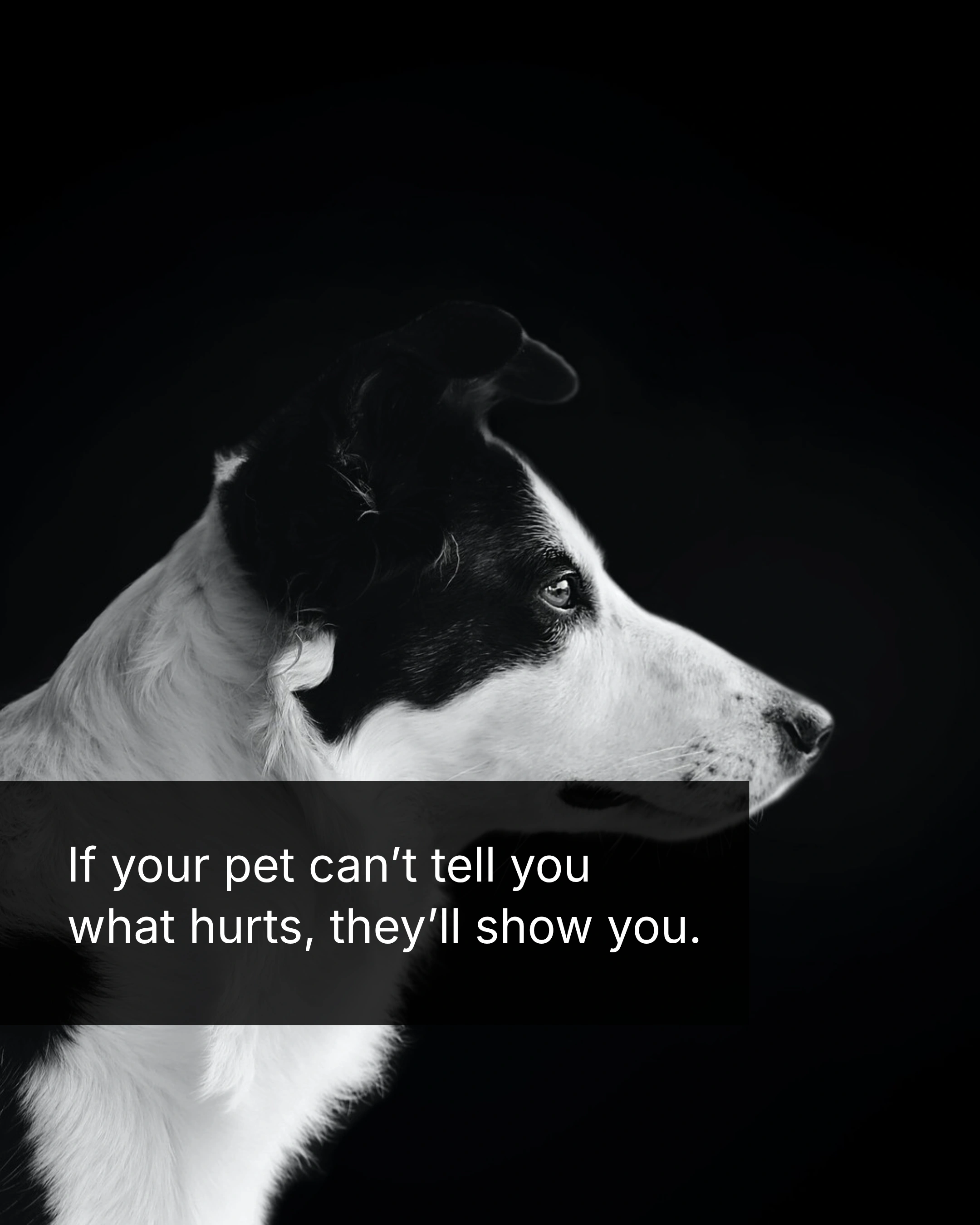 Easthampton Chiropractic social media post