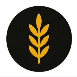 Craig Wilson - Realtor Wheat State Realty