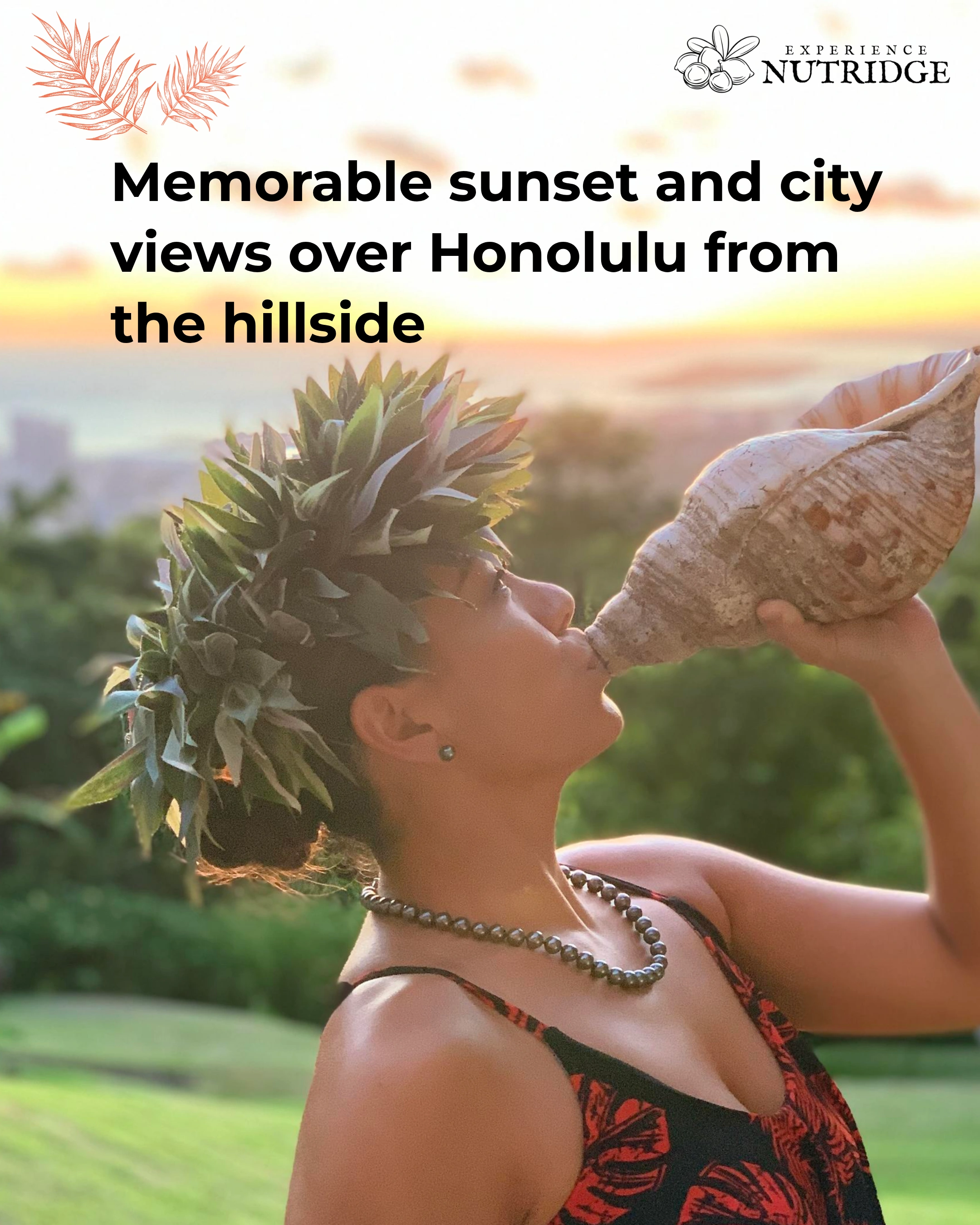 Experience Nutridge social media post